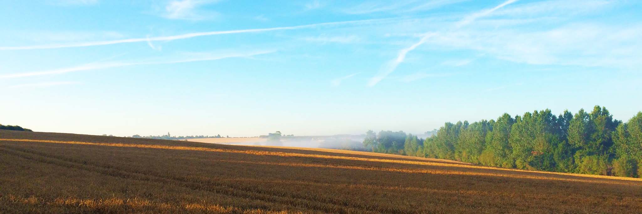 The Drayton Estate, Northamptonshire, Rapeseed Field